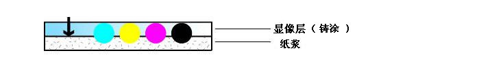 铸涂型